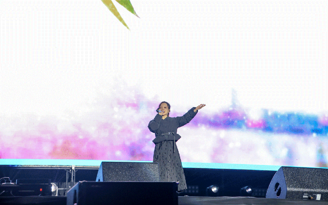 平陽體育中心群星演唱會！超萬人圍觀，現場火爆High唱！