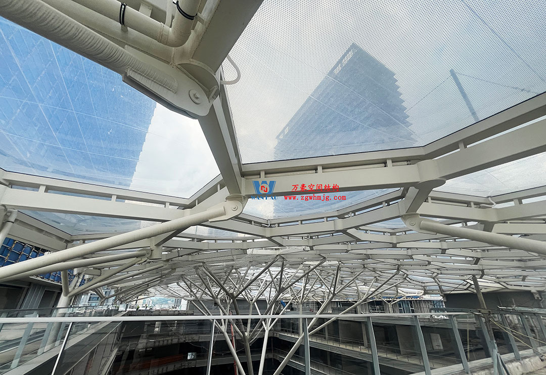 1754370805203202.jpg 11a.jpg